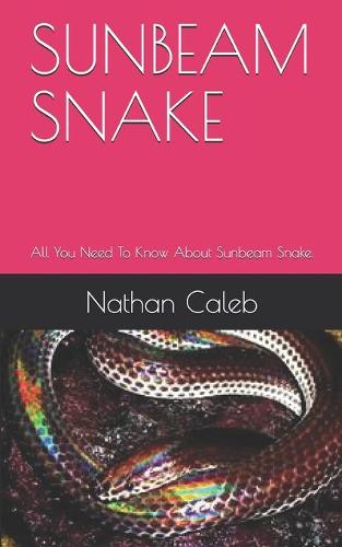 Sunbeam Snake