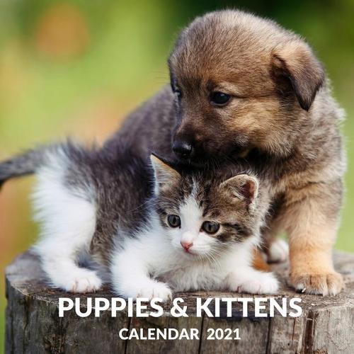 Puppies & Kittens Calendar 2021