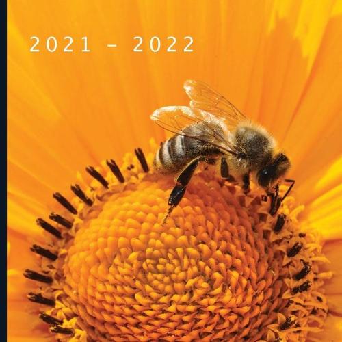 2021 - 2022