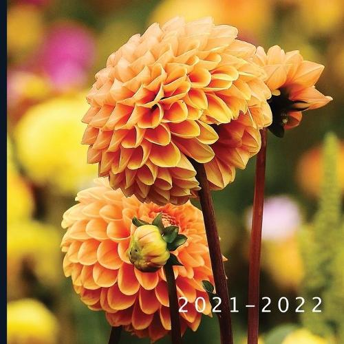 2021 - 2022