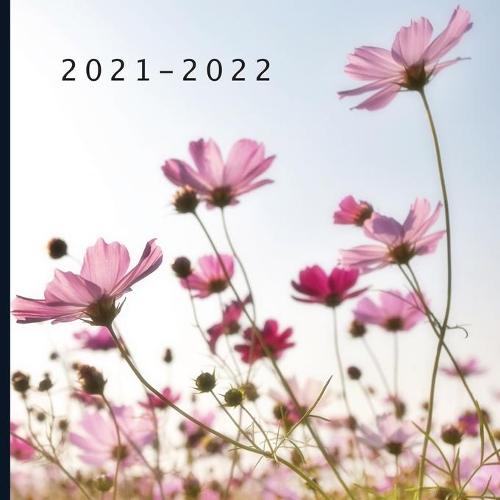 2021 - 2022