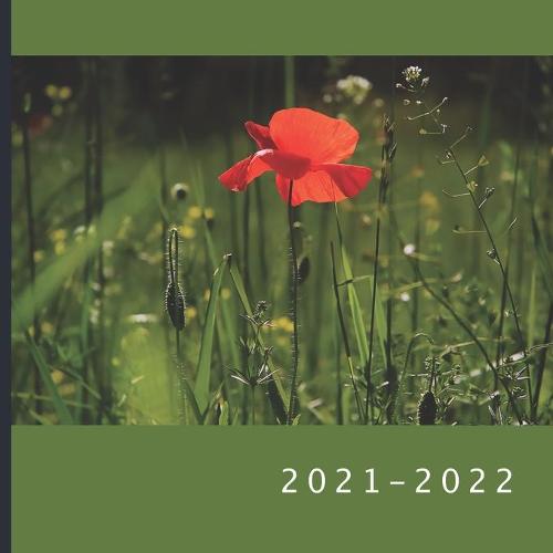 2021 - 2022