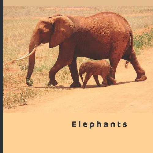 Elephants