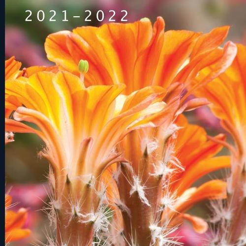 2021 - 2022