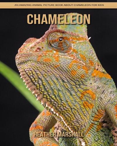 Chameleon