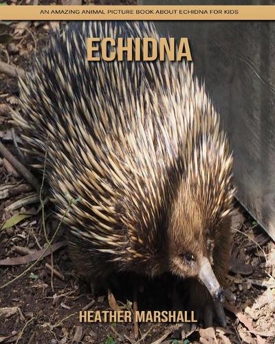 Echidna