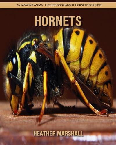 Hornets