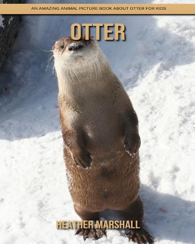 Otter