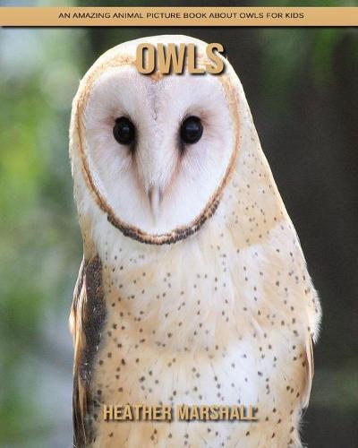 Owls