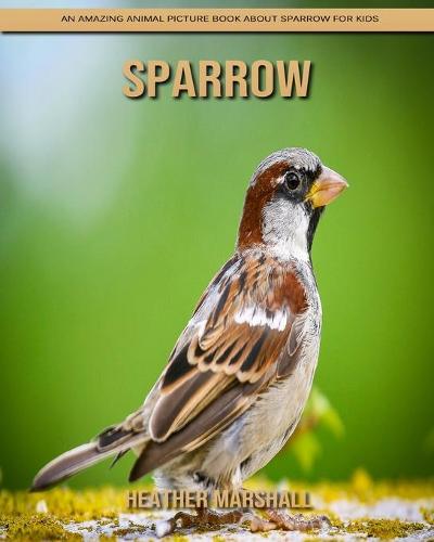 Sparrow