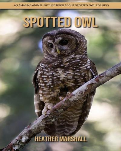 Spotted Owl