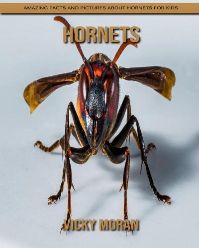 Hornets
