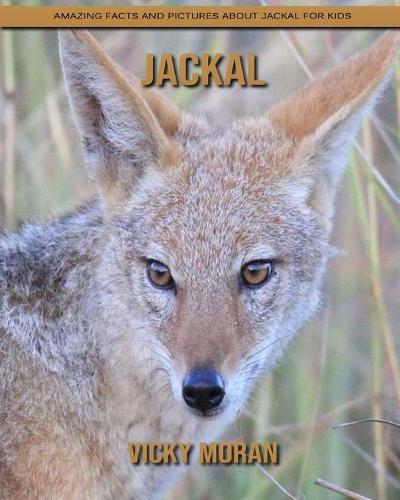 Jackal