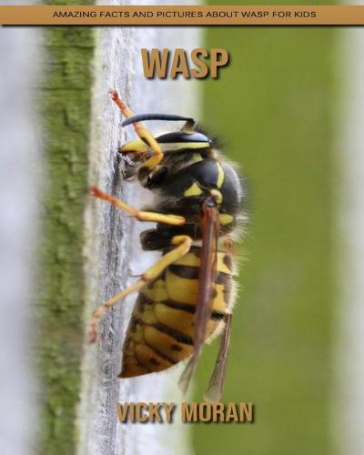 Wasp