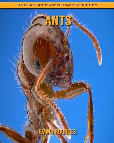 Ants