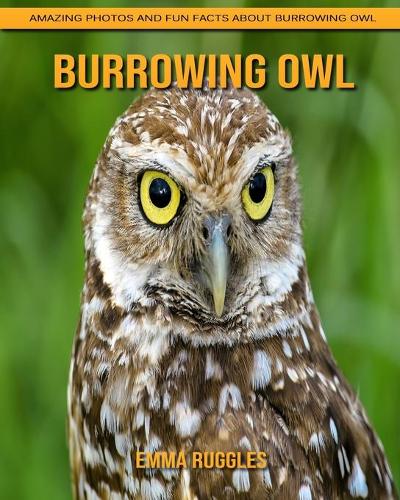Burrowing Owl