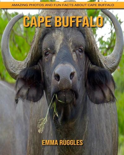 Cape Buffalo