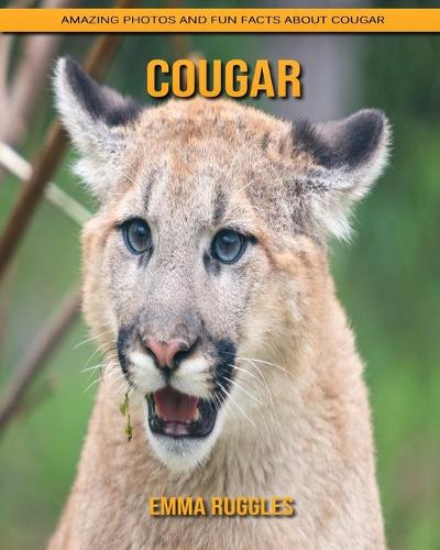 Cougar