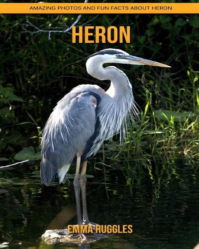 Heron