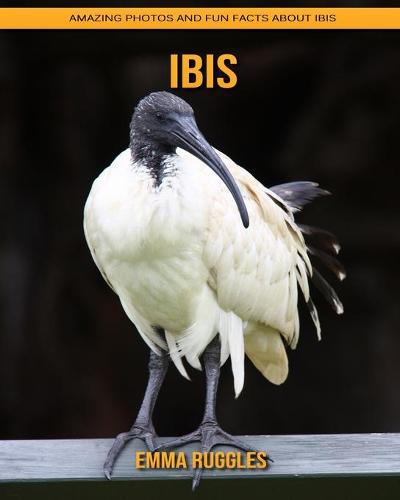 Ibis