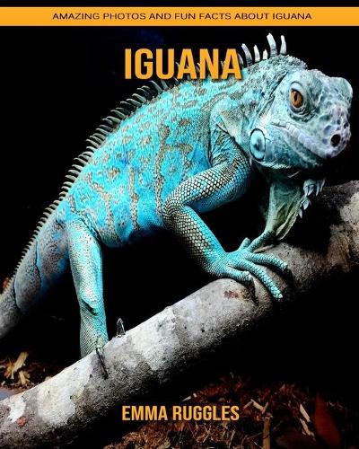 Iguana