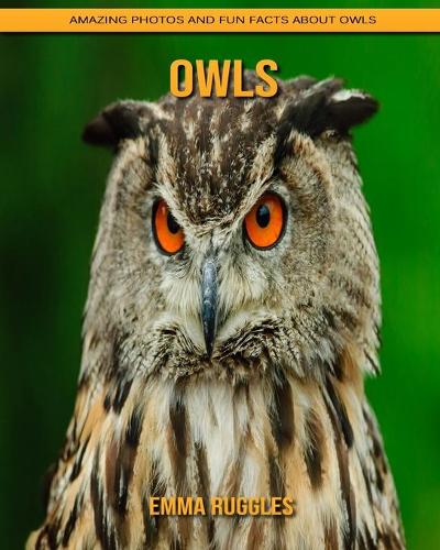 Owls