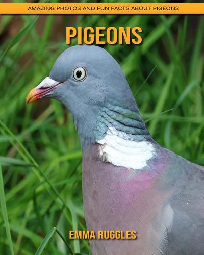 Pigeons