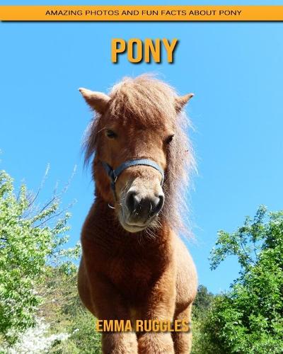 Pony
