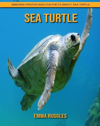 Sea Turtle