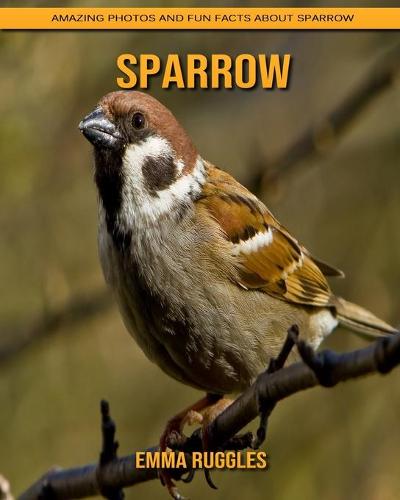 Sparrow