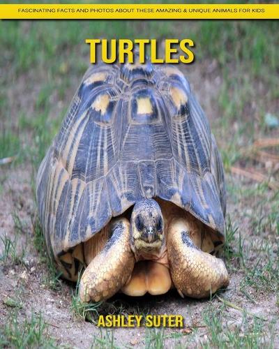 Turtles