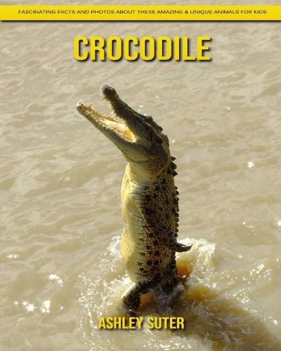 Crocodile