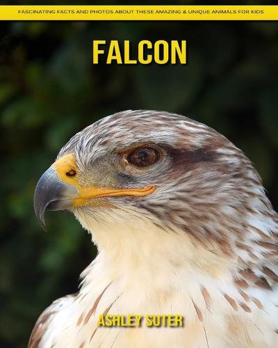 Falcon