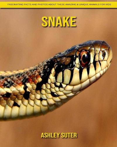 Snake