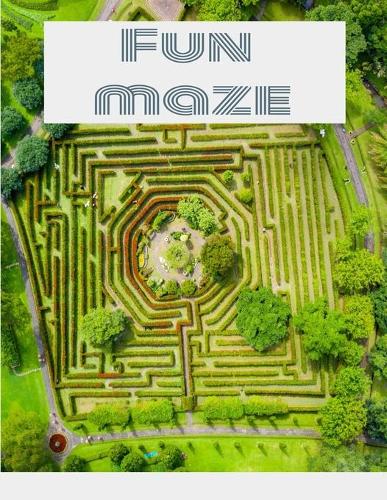 Maze Book - Easy to Moderate to Challenging Puzzles