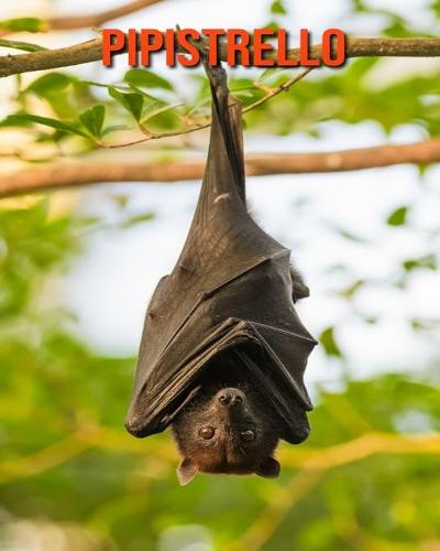 Pipistrello