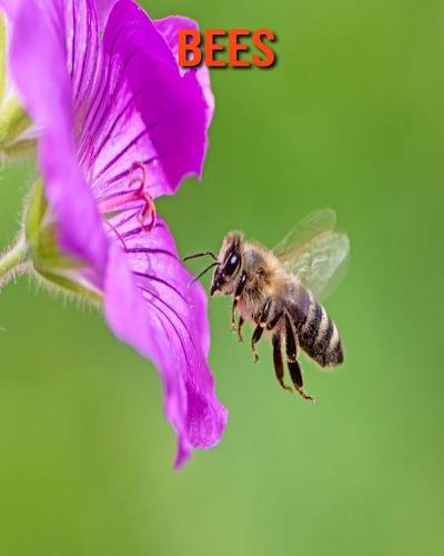 Bees