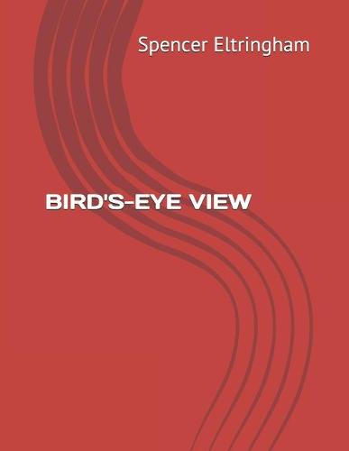 Bird's-Eye View