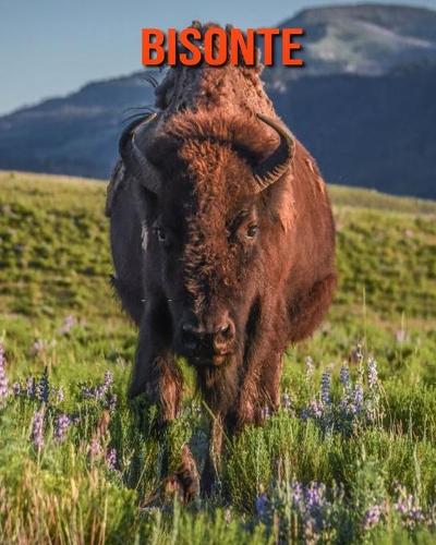 Bisonte