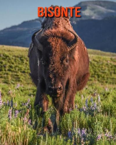 Bisonte