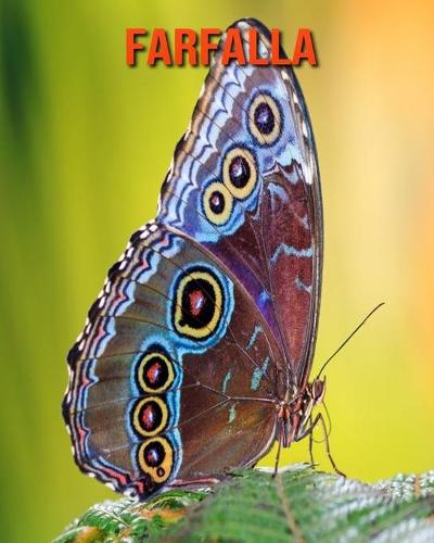 Farfalla