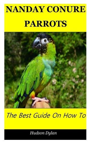 Nanday Conure Parrots