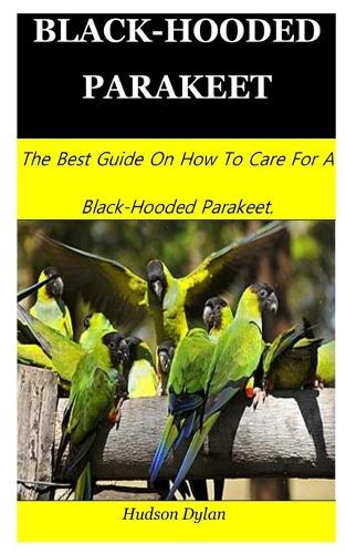 Black-Hooded Parakeet