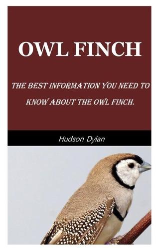 Owl Finch