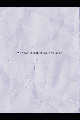 We Never Thought It Was A Mountain