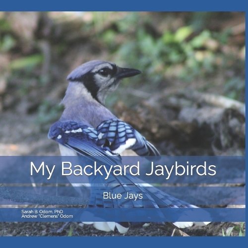 My Backyard Jaybirds