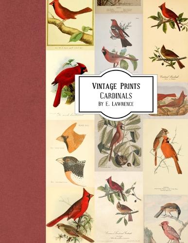 Vintage Prints