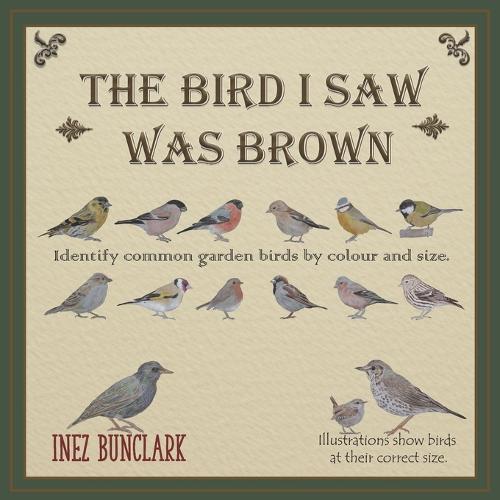 The Bird I Saw Was Brown