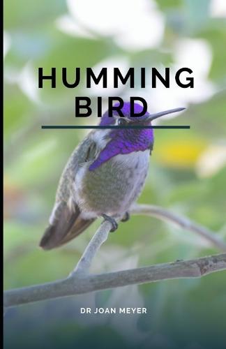 Humming Bird