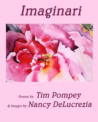 Imaginari